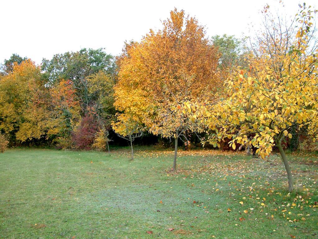 La Roseraie Neuville-du-Poitou Kültér fotó